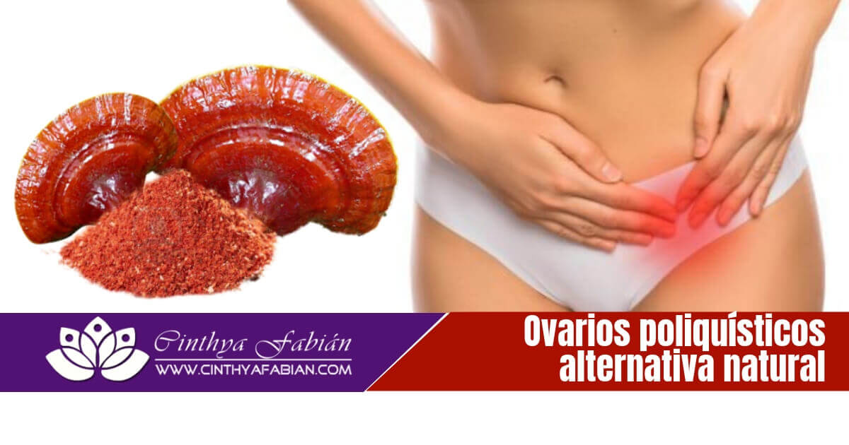 Ovarios poliquisticos alternativa natural 1 1 » Salud Holistica