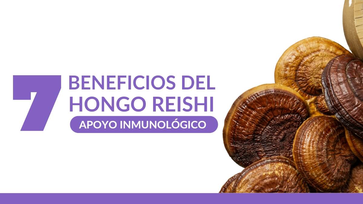 Los 7 Beneficios del Hongo Reishi Mas Conocidos