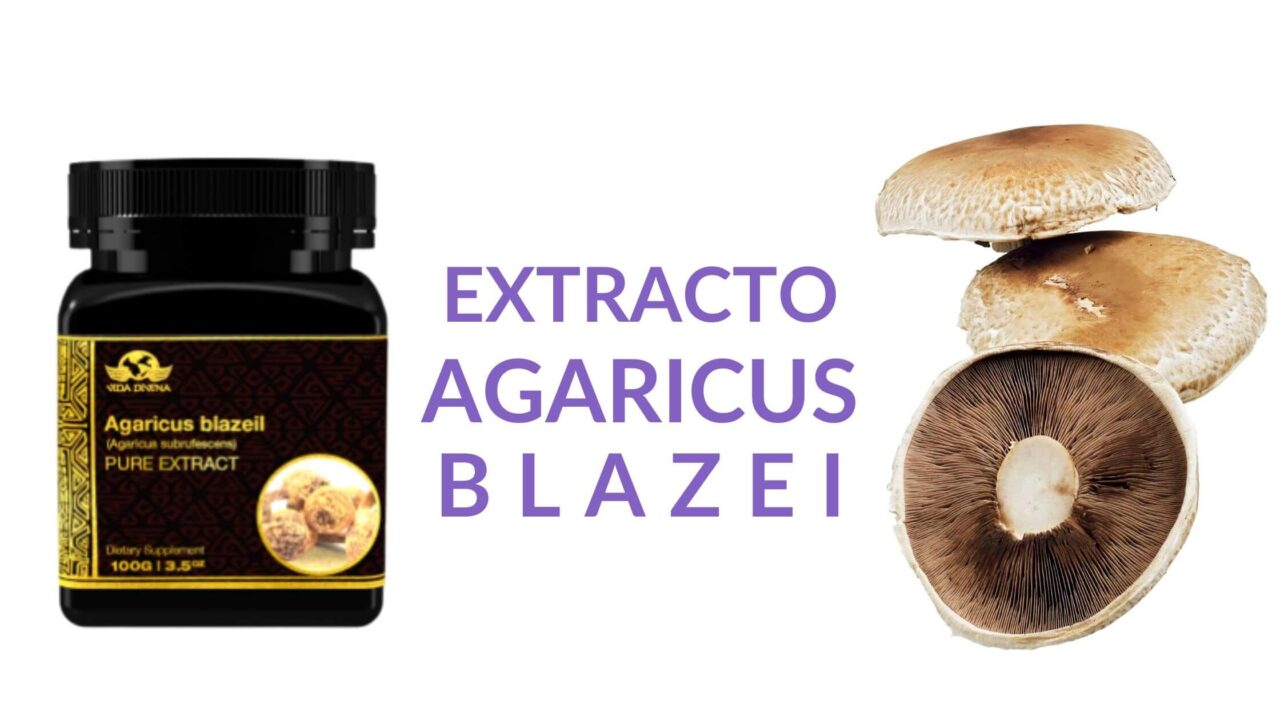 Extracto Agaricus Blazei