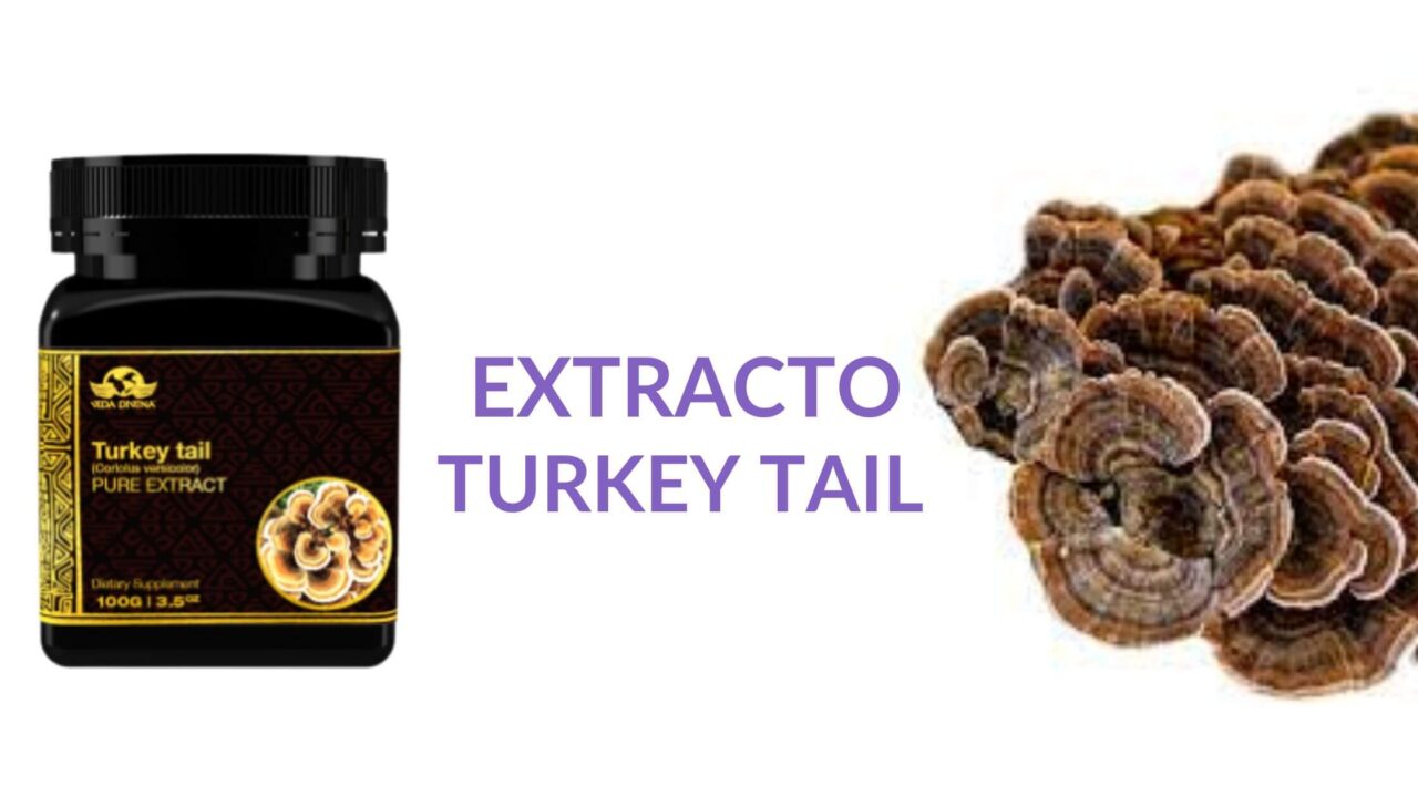 Extracto Turkey Tail
