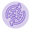 icono microbiota icono microbiota »